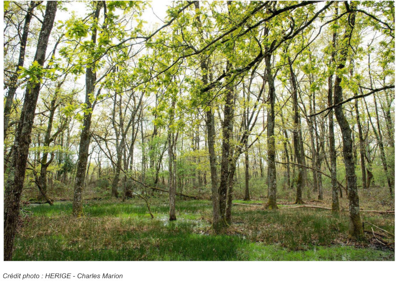 2023 08 21 HERIGE s engage pour la preservation de la biodiversite brenne