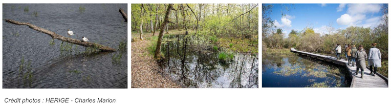 2023 08 21 HERIGE s engage pour la preservation de la biodiversite photos brenne